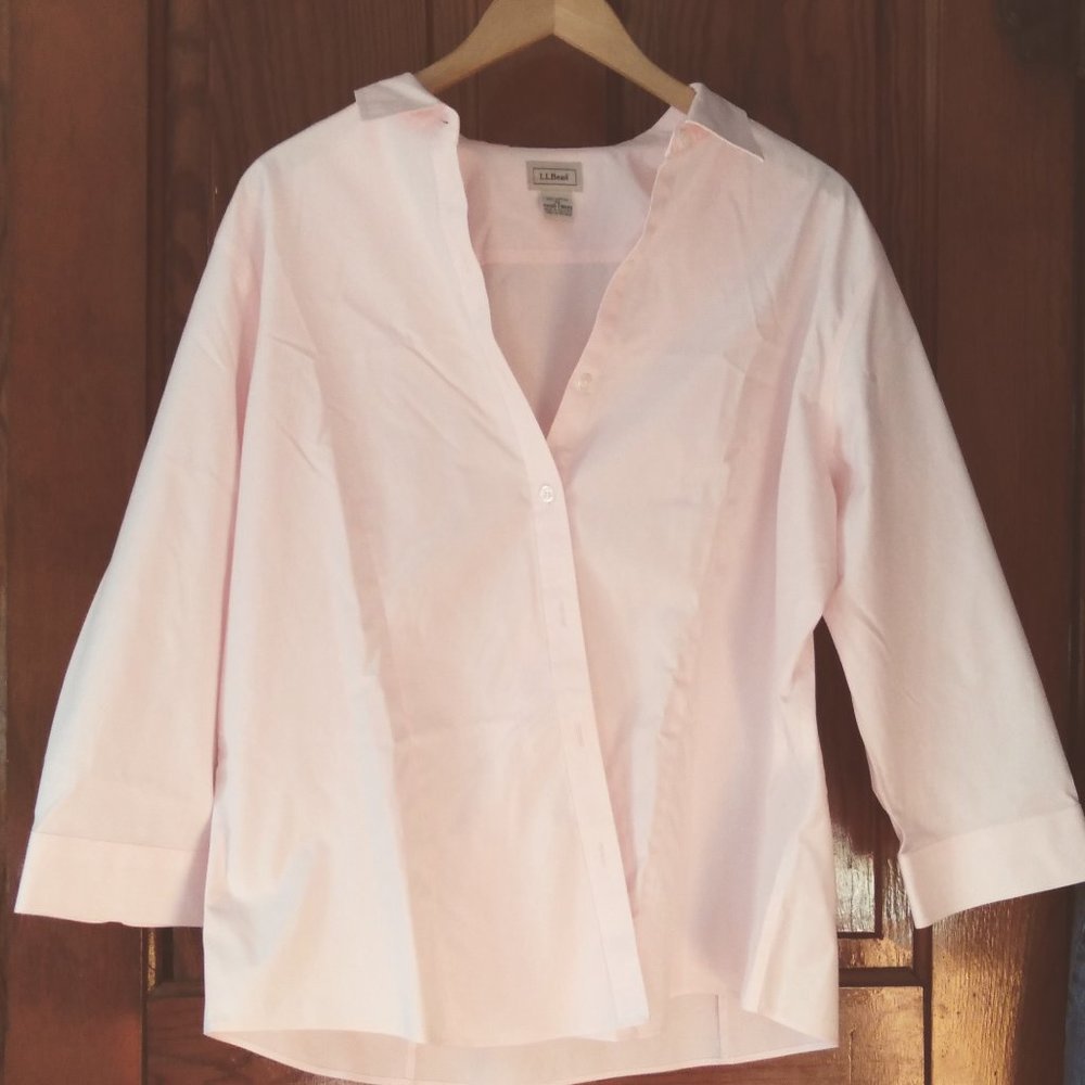 L.L. Bean Button down shirt